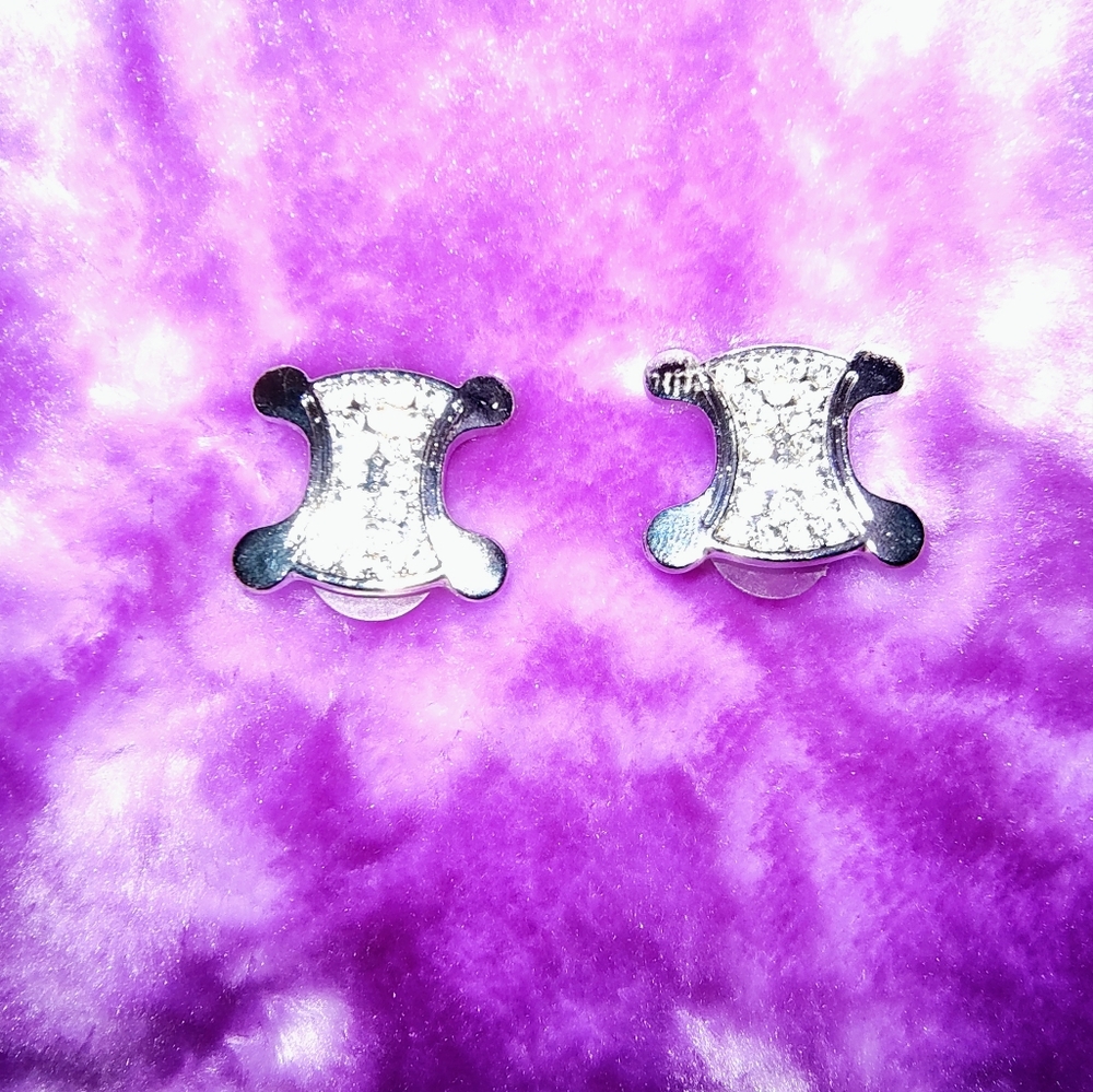 NWT Earrings